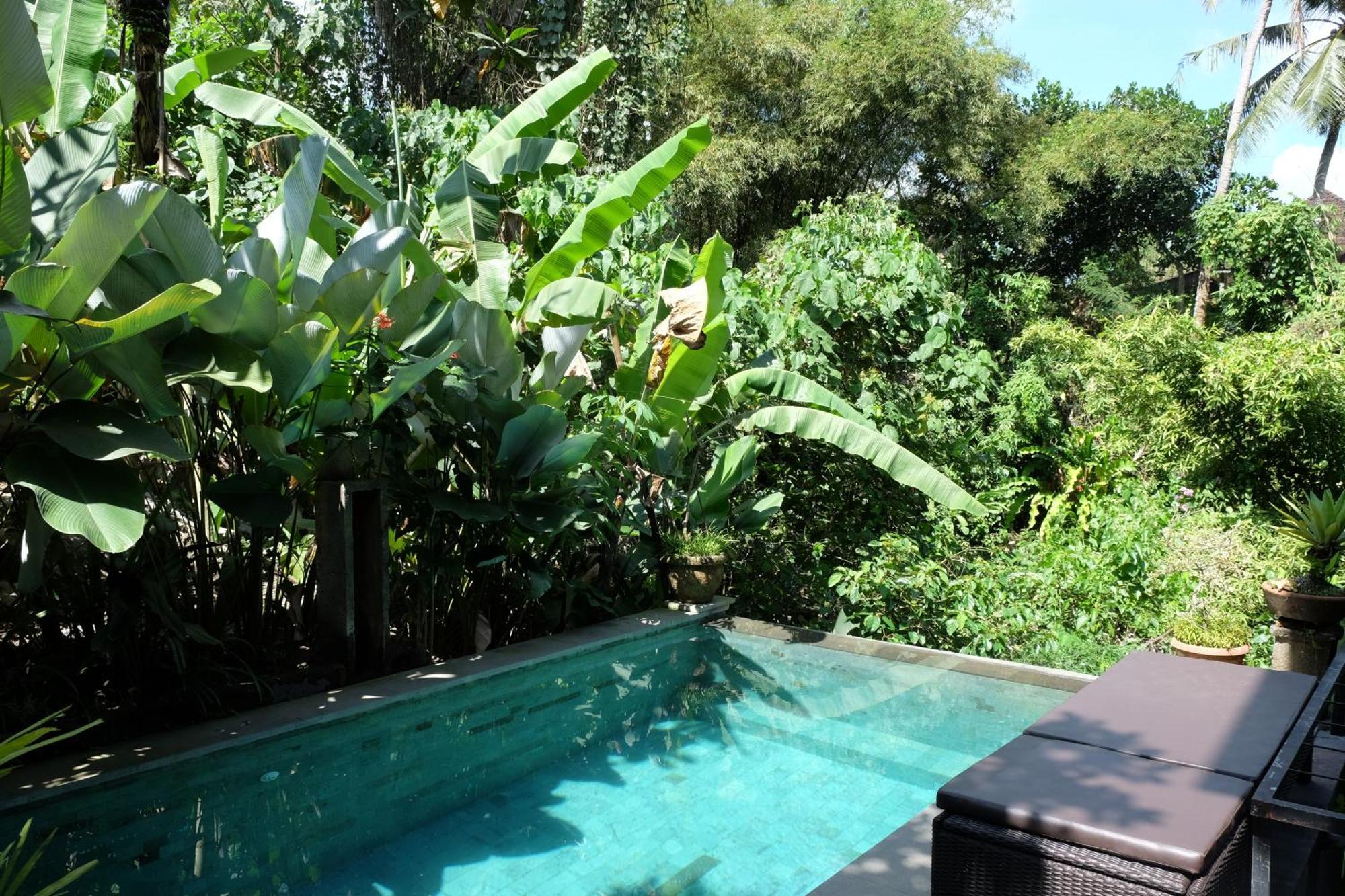 Suastika Guest House Ubud Екстер'єр фото