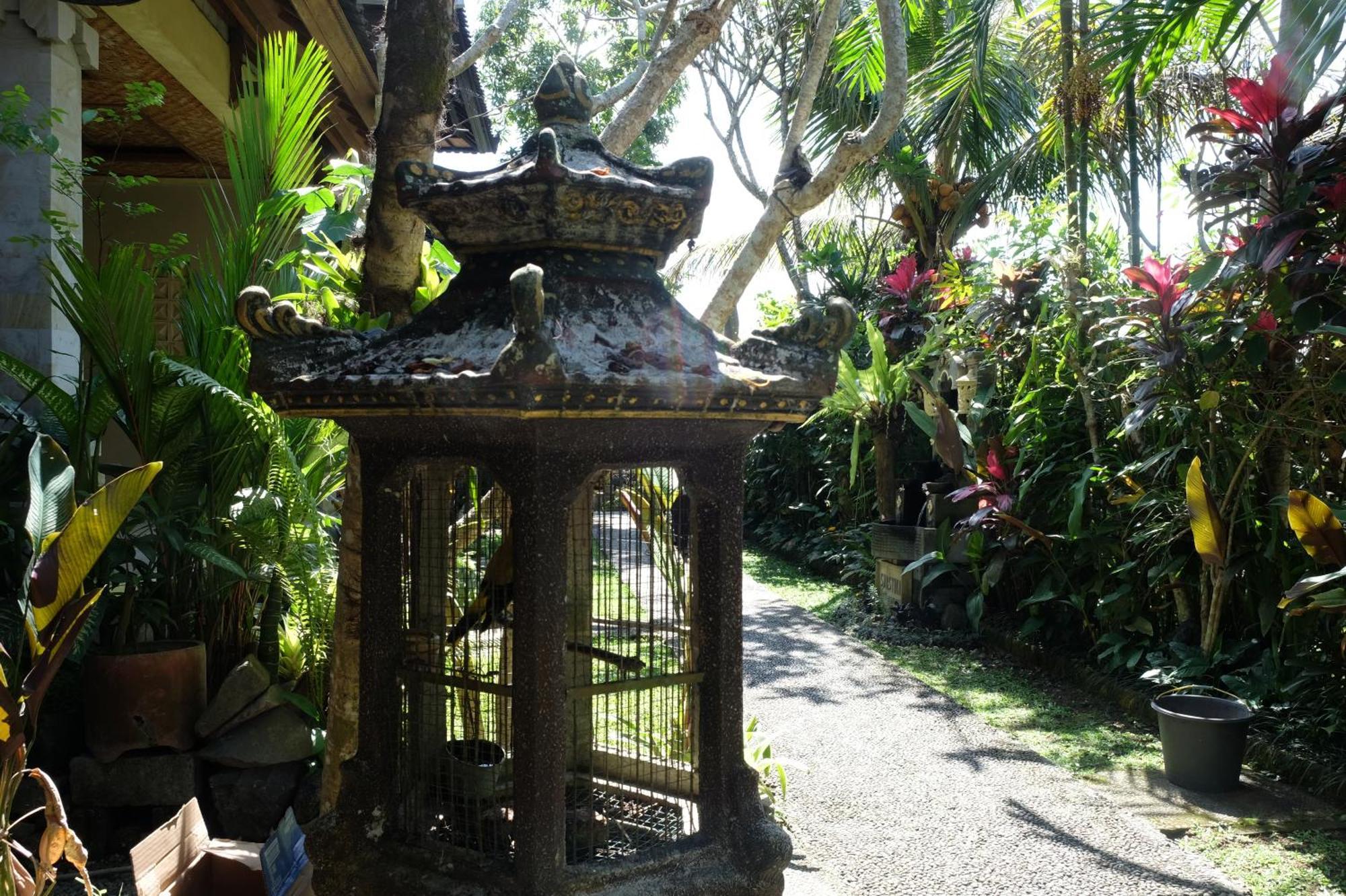 Suastika Guest House Ubud Екстер'єр фото
